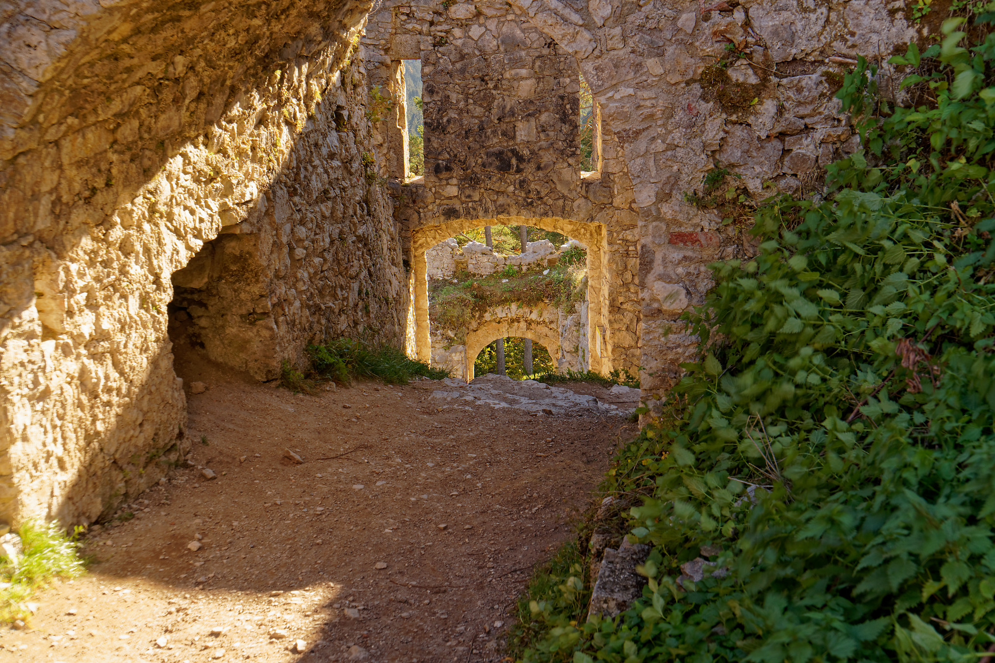 Burg Ehrenberg